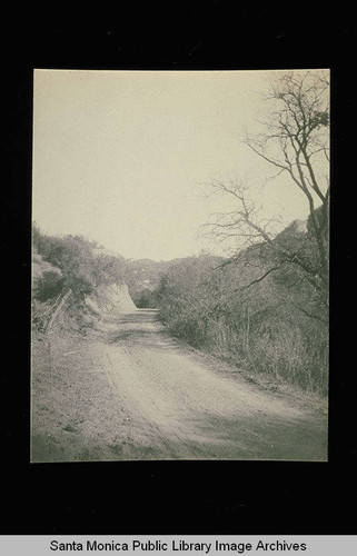 Road through Topanga, Calif