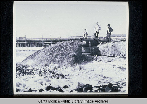 Sucked from the accumulation behind the Santa Monica breakwater, sand spews from a pipe to build up eroded beach south of the municipal pier on December 29, 1949 (from the Los Angeles Examiner newspaper)