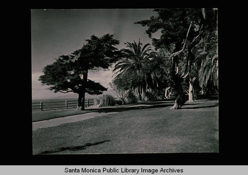 Palisades Park, Santa Monica, Calif