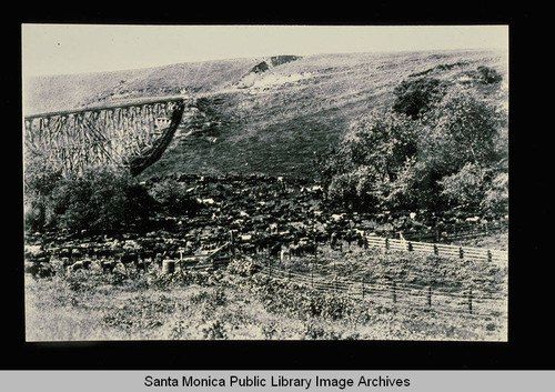 Ramera Canyon, Calif. showing part of Rindge Ranch and railroad line