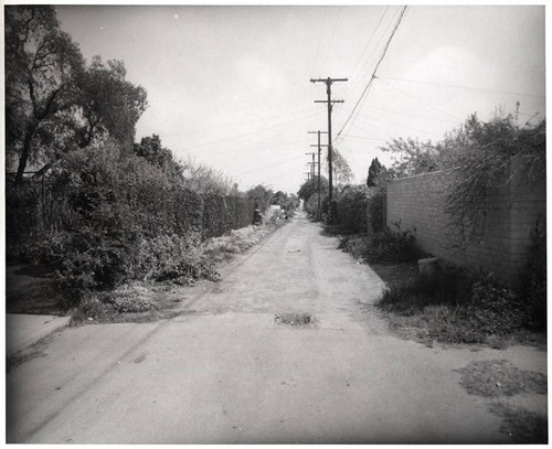 Twelfth alley south of Alta Avenue in Santa Monica, March 26, 1956