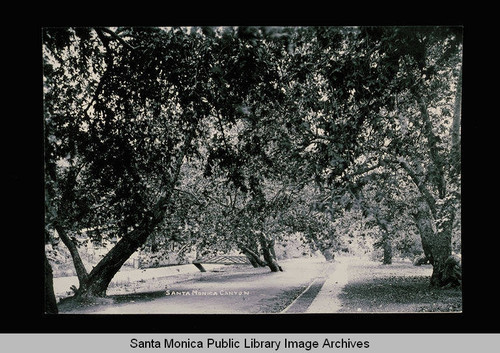 Santa Monica Canyon, Los Angeles County, Calif