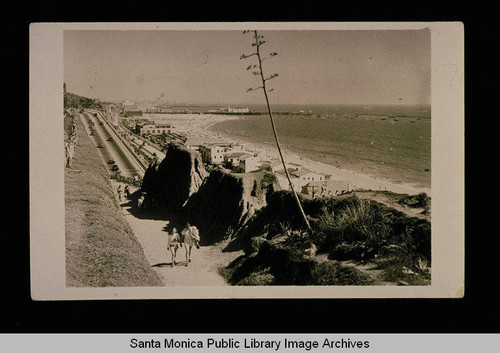 Path through the bluffs, Palisades Park, Santa Monica Bay and Pier