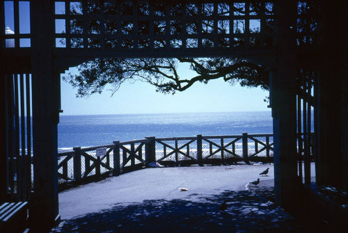 Looking out on Santa Monica Bay from Palisades Park, May 1984