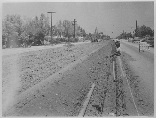 Landscaping the median on San Vicente Blvd. in Santa Monica, Calif