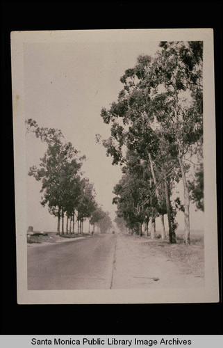 Ninth Street looking north from Wilshire Blvd., Santa Monica, Calif