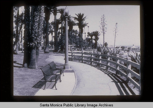 Benches in Palisades Park, Santa Monica, Calif