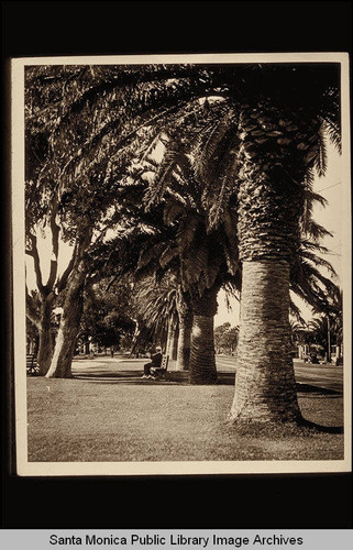 Palisades Park, Santa Monica, Calif