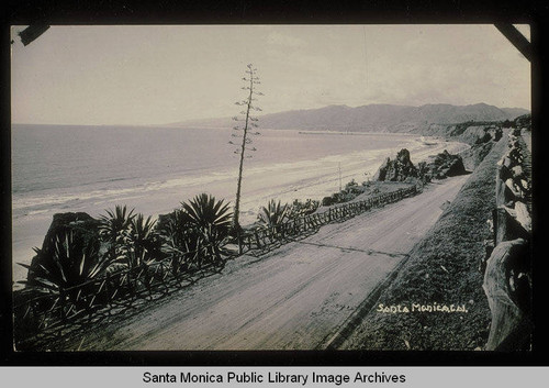 California Incline and Century Plant