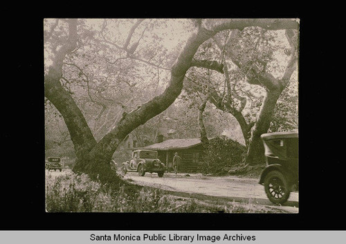 Santa Monica Canyon (Uplifter's Ranch?)