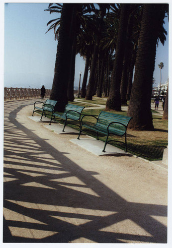 Palisades Park, Santa Monica, Calif