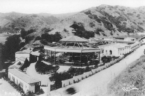 Bird farm and sanctuary on Catalina Island, Calif