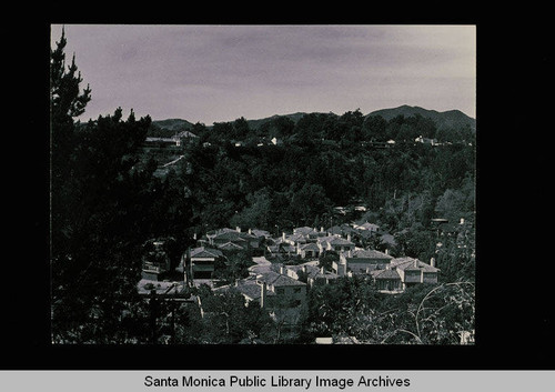 Overlooking Santa Monica Canyon from Adelaide Drive