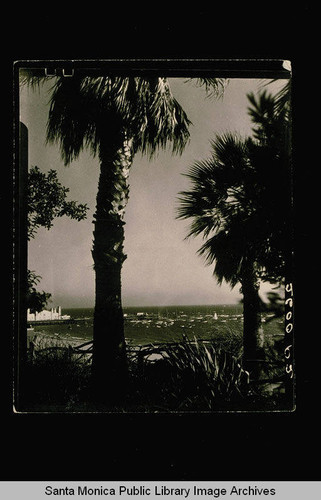 Palisades Park overlooking the Santa Monica Yacht Harbor