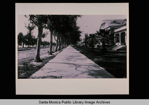 Houses on Ocean Avenue, Santa Monica, Calif