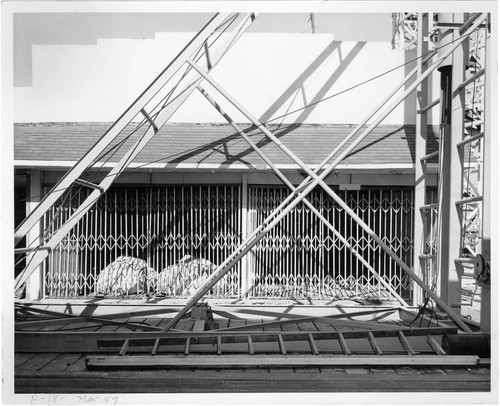 Construction site of Pacific Ocean Park, Santa Monica, Calif