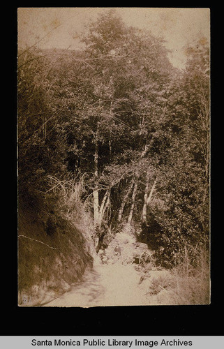 Wagon on a canyon road to the ocean, Los Angeles County, Calif