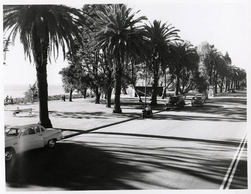 Automobiles parked on Ocean Avenue by Palisades Park, Santa Monica, Calif