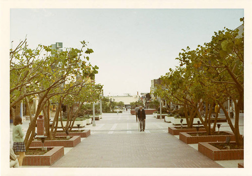 Looking south down Third Street Mall on February 14, 1970