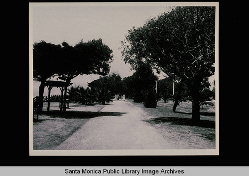 Lover's walk along the bluff, Santa Monica, Calif