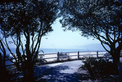 Looking out on Santa Monica Bay from Palisades Park, May 1984