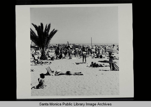 Santa Monica beach scene, July 17, 1955