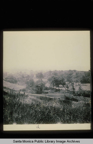 East of Santa Monica Canyon panorama