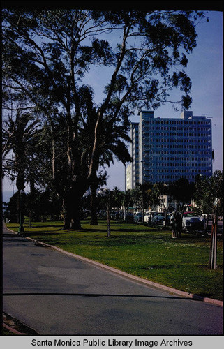 Looking at Ocean Avenue and high-rise apartments from Palisades Park, Santa Monica, Calif