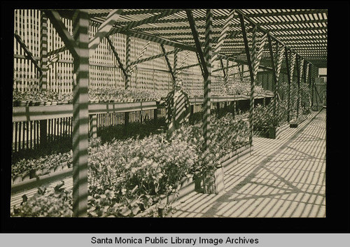 Santa Monica City's garden supply greenhouse