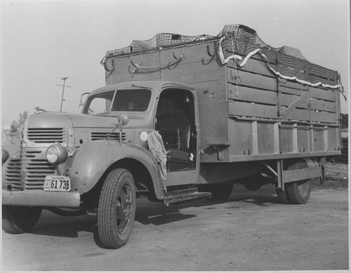 Refuse being hauled in Santa Monica City Sanitation Division truck