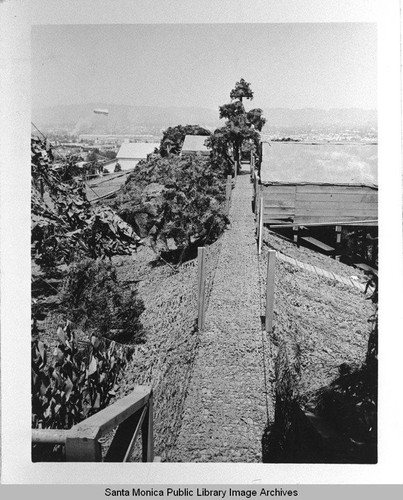 Detail of camouflage designed by landscape architect Edward Huntsman-Trout to conceal the manufacture of military aircraft at the Douglas Aircraft Company Santa Monica plant during World War II