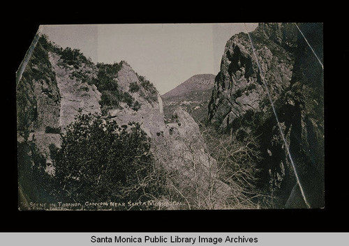 First road in Topanga Canyon, Calif