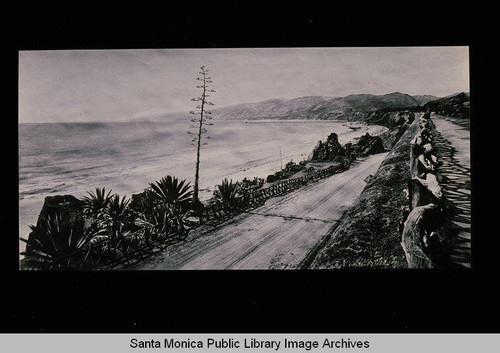 Santa Monica beach looking north from the California Incline with Century Plant