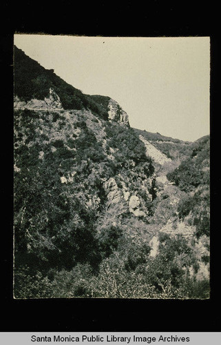 Topanga Canyon, Calif