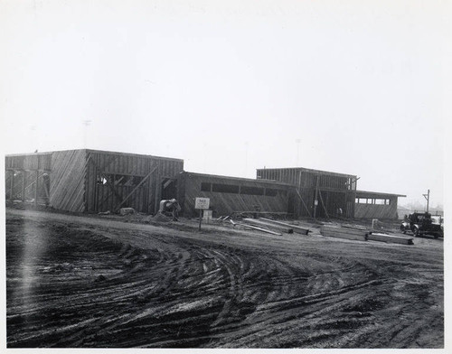 Construction of the Santa Monica Municipal Swimming Pool, building framing at 90% completion, November 15, 1950