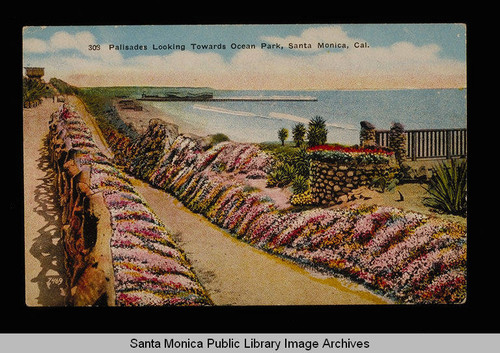 Flower garden and Palisades Park looking south toward Ocean Park, Santa Monica, Calif