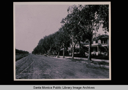 Houses on Ocean Avenue, Santa Monica, Calif