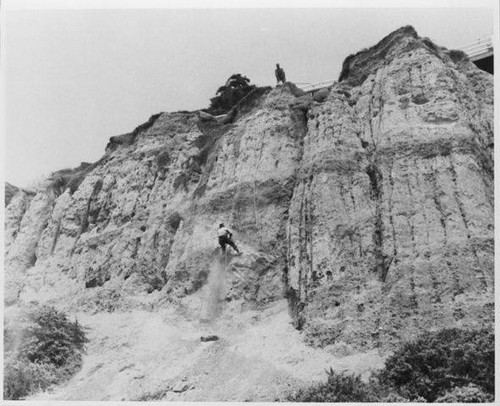 Scarifying bluff overhangs along Palisades Park in Santa Monica with a pneumatic shovel as part of the City's "Slide Prevention Prorgram," August 31, 1956