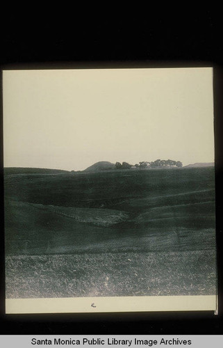 Panorama taken from around Bestor Blvd. in Pacific Palisades looking south toward Potrero Canyon