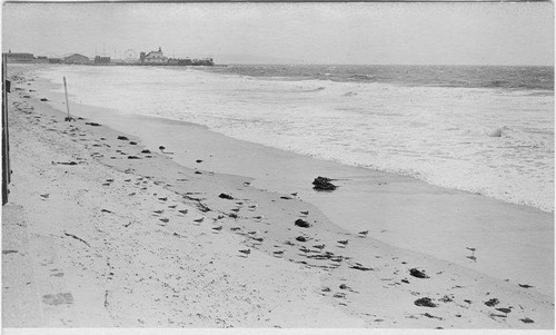 Looking toward the Venice Pier, south of Santa Monica, Calif