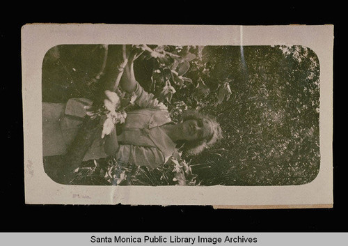 Santa Monica High School Annual Sophomore Class Picnic, May 10, 1913