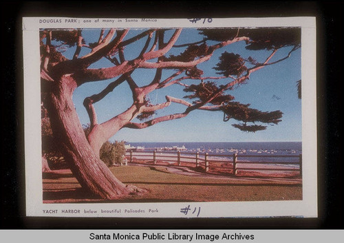 Brochure "Greetings from Santa Monica California" Yacht Harbor from Palisades Park