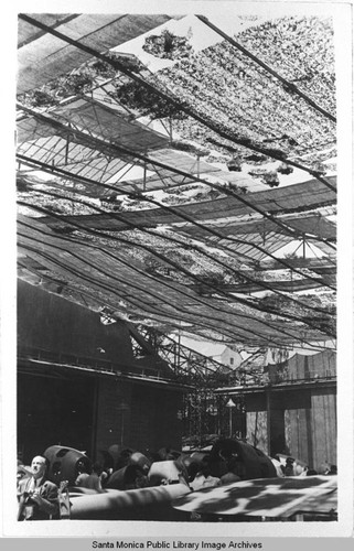 Detail of the tension compression structure which supported the camouflage designed by landscape architect Edward Huntsman-Trout to conceal the manufacture of military aircraft at the Douglas Aircraft Company Santa Monica plant during World War II