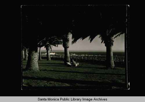 Palisades Park with view of the Santa Monica Pier