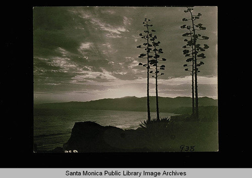 Palisades Park and Santa Monica Bay