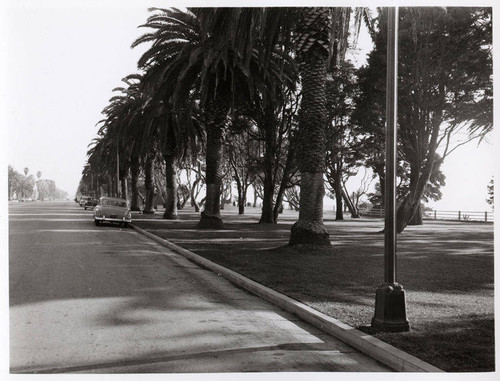 Automobiles parked on Ocean Avenue by Palisades Park, Santa Monica, Calif