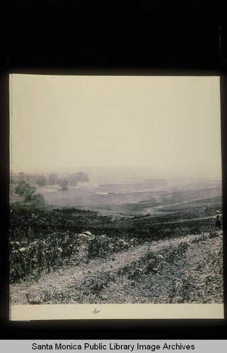 East of Santa Monica Canyon panorama