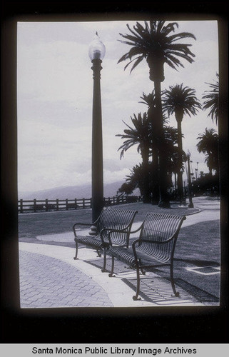 Benches in Palisades Park, Santa Monica, Calif