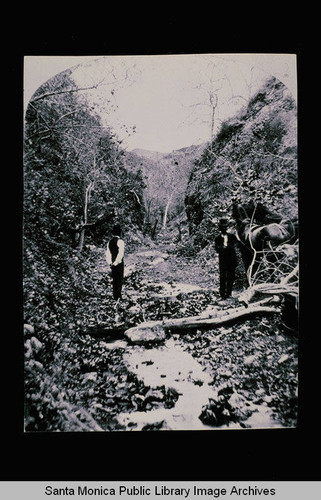 Creek bed in Santa Monica Canyon