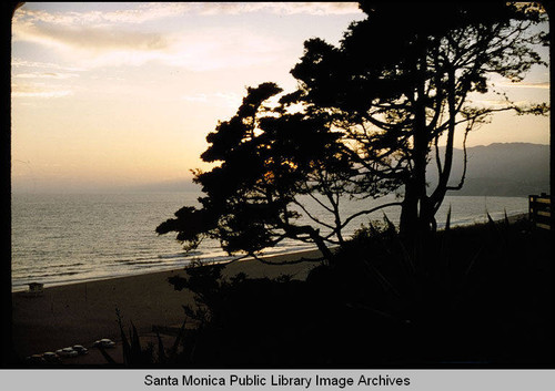 Beach and sunset from Palisades Park, Santa Monica, Calif